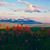 Herb Brownell's profile image