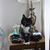 Valerie Schoening's profile image