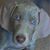 Debra Hartman's profile image