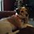 Barbara Maness's profile image