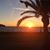 Beth Holden Bourquin's profile image