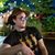 Rizzo's profile image