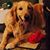 Josie Lizama - Lundy's profile image