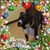 Deb Hadenfeldt's profile image