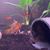 Stephanie Stoeckel's profile image