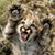 Annette McCauley's profile image