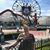 Bridgett Poirier's profile image