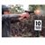 David Myers's profile image