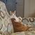 Cindy Koon's profile image