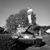 Serge Gidenko's profile image