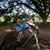 Jairo Alberto's profile image