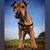 Sandy Balzer's profile image