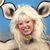 Anna Dawson's profile image