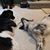 Tonya Sheley Hollederer's profile image