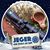 Iver Stenseth's profile image