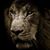 Deydra Gadson-Lee's profile image
