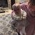 Missy Mosier's profile image