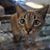 Mary Kido's profile image