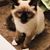 Tina Maskowski's profile image