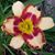 Deborah Widdowson's profile image