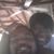Venna Johnson-Clark's profile image