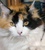 Sophie J.'s profile image