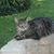 Christopher Crabtree's profile image