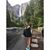 Chelsey King's profile image