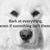 Mona Bothe Green Castle's profile image