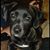 Maria Steven Heffner's profile image