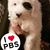 Judy Cosler's profile image
