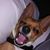 Carla Spates-Barrier's profile image