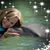 Karen Bristoe's profile image