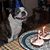 Kathleen Greiser's profile image