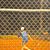 Brian Kowal's profile image