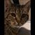 Joan Owsley's profile image