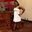 Sophia Jackson's profile image