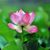 Michelle Rosner's profile image