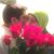 Qater Elnada's profile image