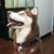 Griselle T Garcia's profile image