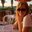 Sarah Howell's profile image