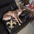 Dianne Novak Cline's profile image