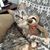Denise M Knighton's profile image