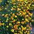 Timothy Semans's profile image