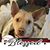 Trisha Cammer Crain's profile image