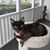 Sheri Schroeder's profile image