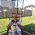 Brandy McCall Mack's profile image