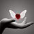 Nicky Seiders's profile image