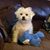 Sandy Stockman Mielo's profile image