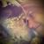 Stephanie Agurkis's profile image
